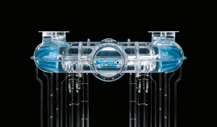 Festo發(fā)布具有獨特鰭片驅動(dòng)器的水下機器人BionicFinWave